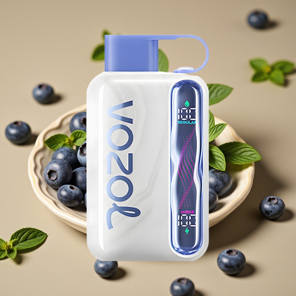 VOZOL STAR 40000 Disposable Vape Mirtilo Menta – 1000mAh, Tipo-C, 20/50mg/ml